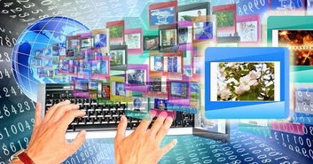 軟件產品網 網絡與信息安全軟件開發的最新求購趨勢與市場洞察